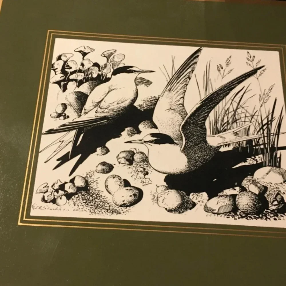 Cloverleaf R65 bird woodcuts table coasters new in box vintage